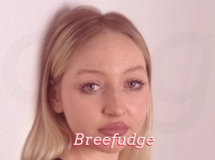 Breefudge