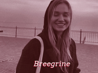 Breegrine