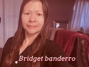 Bridget_banderro