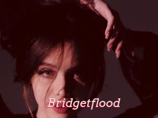 Bridgetflood