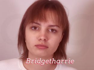 Bridgetharrie