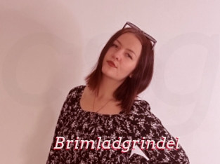 Brimladgrindel