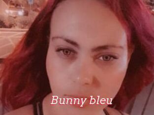 Bunny_bleu