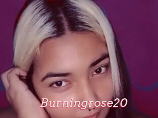 Burningrose20