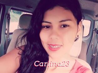 Carlina23