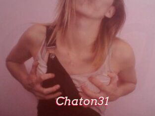 Chaton31