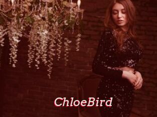 ChloeBird