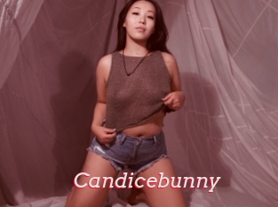 Candicebunny