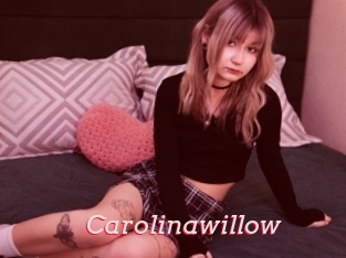 Carolinawillow