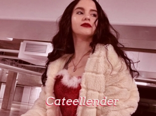 Cateellender