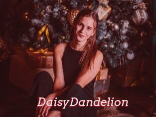 DaisyDandelion