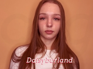 Daisyburland