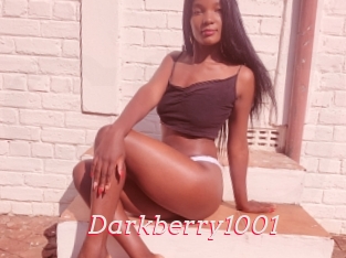 Darkberry1001