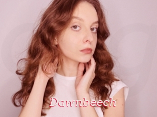 Dawnbeech