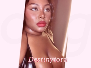 Destinytorn