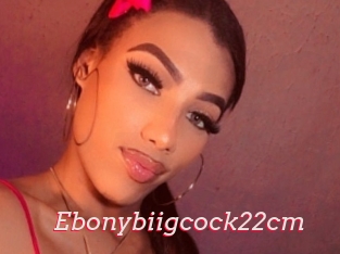 Ebonybiigcock22cm