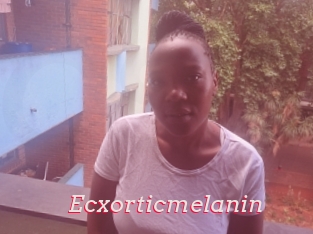 Ecxorticmelanin