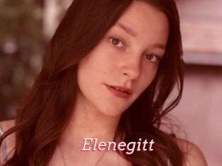 Elenegitt