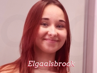 Elgaalsbrook