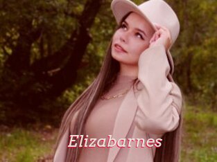Elizabarnes