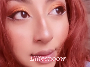 Elliesnoow