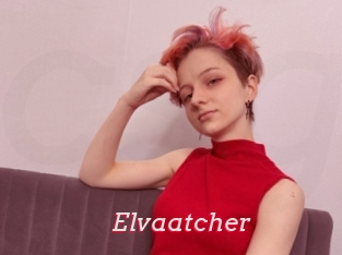 Elvaatcher