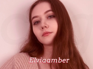 Elviaamber