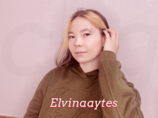 Elvinaaytes