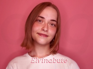 Elvinabute