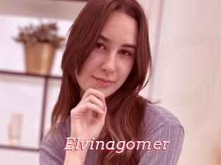 Elvinagomer