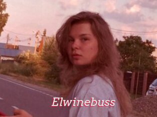 Elwinebuss