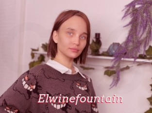 Elwinefountain