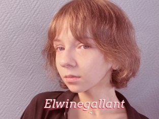 Elwinegallant