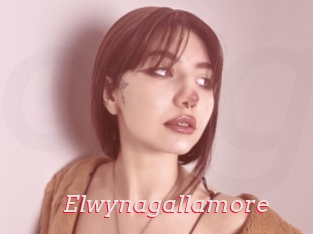 Elwynagallamore