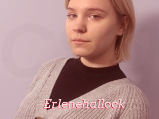 Erlenehallock