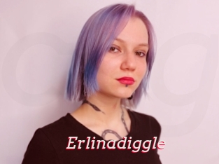 Erlinadiggle
