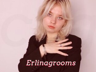 Erlinagrooms