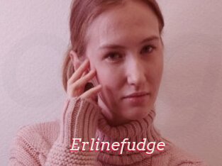 Erlinefudge