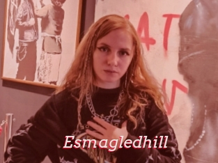 Esmagledhill