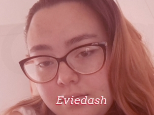 Eviedash