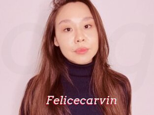 Felicecarvin