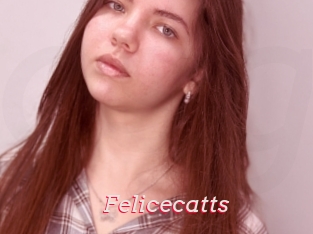 Felicecatts