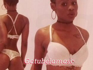 Gatubela_masc