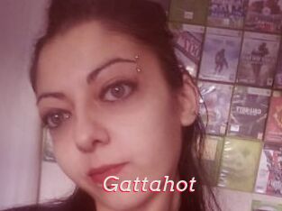 Gattahot