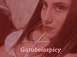 Gatubelaspicy