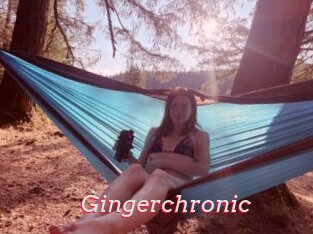 Gingerchronic