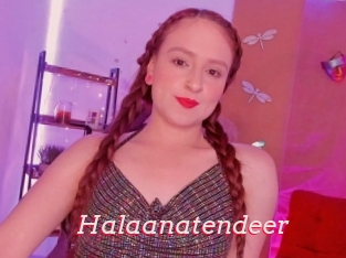 Halaanatendeer