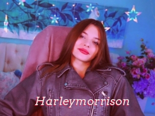 Harleymorrison