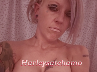 Harleysatchamo