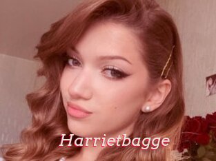 Harrietbagge